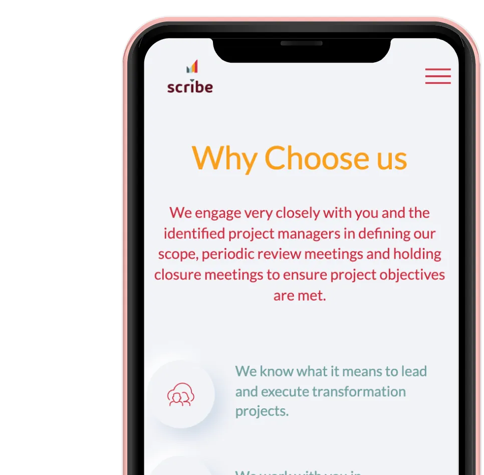 لقطة شاشة موقع Scribe Management Consultancy